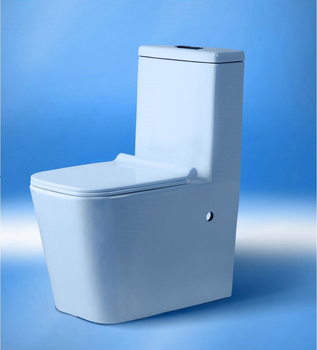 Modern One-Piece Toilet